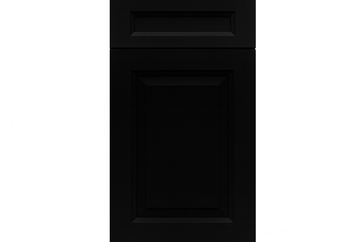 Avalon Raised Panel in Sherwin-Williams® Tricorn Black (SW 6258)